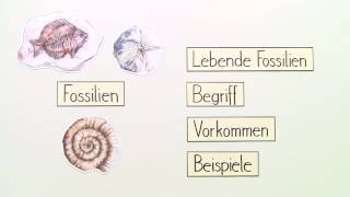 LEBENDE FOSSILIEN  Biologie  Evolutionsbiologie [upl. by Bourne]