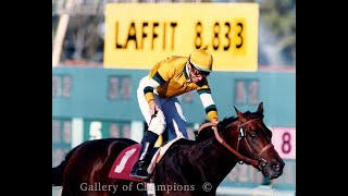 jockey Tony Vega documentary TheBabyAnimal w legendary Hall of Fame jockey Laffit Pincay  Pt1 [upl. by Tri]