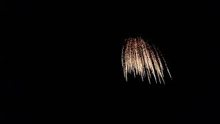 Five Inch Firework Shell  Brocade Crown Waterfall Effect [upl. by Wiener]