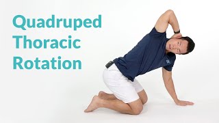 Quadruped Thoracic Rotation for Spine Mobility [upl. by Irwin]