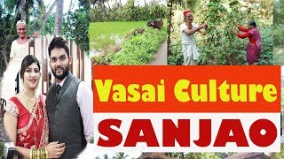 Vasai Culture  SANJAO FEAST [upl. by Seyer]