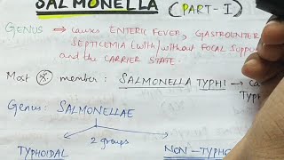 Salmonella  Part 1   Microbiology  Handwritten notes [upl. by Perrins]