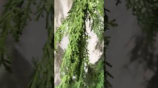 Raz 55 Real Feel Cedar Christmas Garland G3922680 [upl. by Hadeehsar]