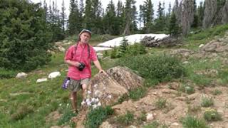 Wyoming Stromatolites [upl. by Gunar]