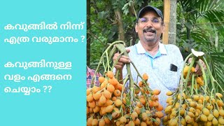 കവുങ്ങു കൃഷി വള പ്രയോഗവും വർഷം ലാഭവും chunkapuranursery [upl. by Cecelia766]