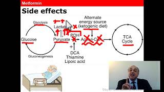 Metformin cme internalmedicine medical doctor محاضراتباطنة pharmaceutical [upl. by Notxed]