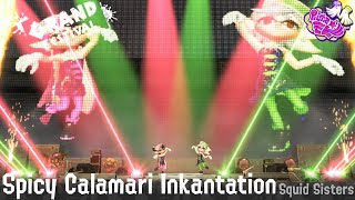 Spicy Calamari Inkantation Lyrics  Splatoon 3 Grand Festival [upl. by Nivlen]