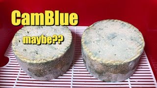 Making CamBlue Cheese [upl. by Enelyar]