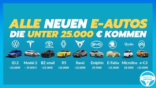 Diese günstigen EAutos kommen unter 25000 €  VW Tesla BYD Renault Skoda Cupra amp IZERA [upl. by Ahsiram]