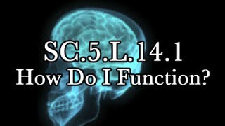 SC5L141 How Do I Function [upl. by Divod]