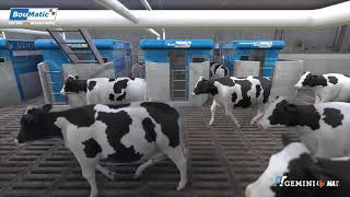 GEMINI UP  MAX Our robotic solution for large herds [upl. by Shaun]