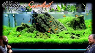 Making a 4ft Carpet Aquarium for Mollies and Swordtails [upl. by Denae]