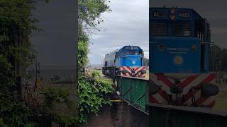 🚂🌧️ 923 short shortyoutube viral fyp lluvia rain locomotive emd railway video4k puente [upl. by Janaya100]