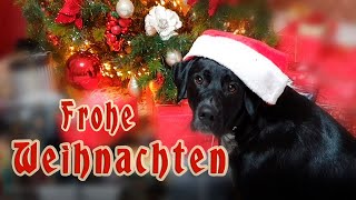 Weihnachtsgrüße🕯🎄🎅 Frohe Weihnachten🕯🎄 [upl. by Candi]