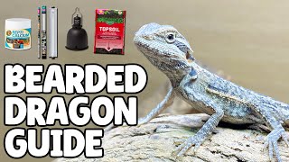 Bearded Dragon Care Guide  Quick Beginners Guide [upl. by Samford]