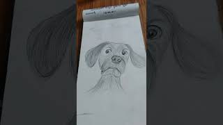 Dogy cartoonart artandcrafts drawing painting drawingart [upl. by Ymor]