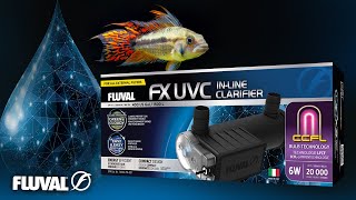 Fluval FX UVC InLine Clarifier  See Your Aquarium In High Definition [upl. by Etiam274]