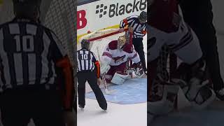 James van Riemsdyk Gets A Controversial Shootout Goal On Mike Smith Dec 19 2013 leafs hockey [upl. by Mapel]