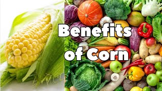 Benefits of CORN Very Beneficial [upl. by Cynth]