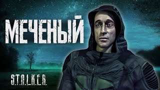 По фактам о STALKER Тень Чернобыля [upl. by Nongim]