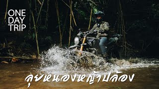 Triumph 400 One day Trip กับ Triumph praram5 มหกรรมเชือดลูกค้าที่หนองหญ้าปล้อง [upl. by Lrak500]