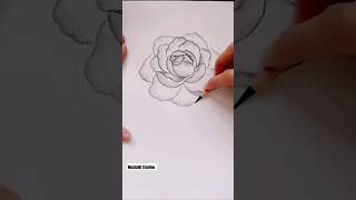 Rose Art Drawing For Pencil Gulab Kese Bante Ha rose artist artandcraft mushahifcreation [upl. by Lellih75]