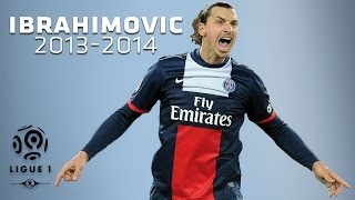 Zlatan Ibrahimovic  All Goals in 20132014 1st half  PSG [upl. by Elder91]