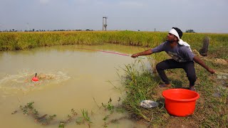 Fishing Video  Traditional boys prefer to admit fishing in small canals  Best hook fishing [upl. by Kreitman450]