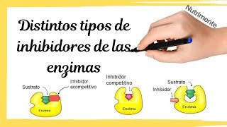 Tipos de INHIBIDORES de las ENZIMAS [upl. by Aizti]