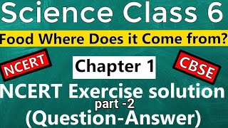 short and long answer questions science chapter 1 class 6 with full explanation in Hindi [upl. by Ahsienom]