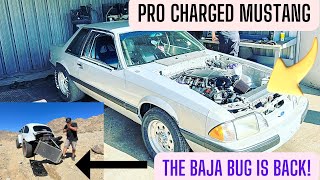 We take a closer look at my 91 Pro Charged fox body and do some work on the Baja Bug [upl. by Dehlia]