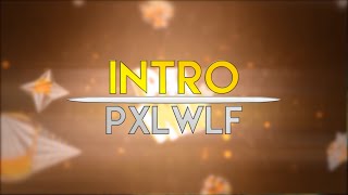 INTRO VORSCHLAG PXLWLF  by FYLE [upl. by Namwen]