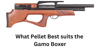 What Pellet best suits the Gamo Boxer [upl. by Oznofla]