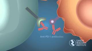 Discovering the PD1 Checkpoint Winners of the 2014 William B Coley Award for Tumor Immunology [upl. by Nolyk513]