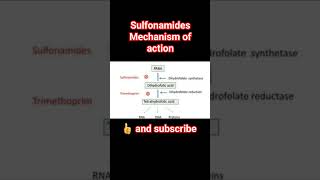 sulfonamides mechanism of actionpharmacology physiology [upl. by Kessel]