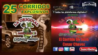 La Original Banda El Limon  25 Corridos Explosivos Disco Completo [upl. by Dow]