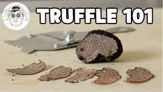 The Beginners Guide to Truffles [upl. by Andryc]