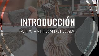 Introducción a la paleontología [upl. by Anahoj]