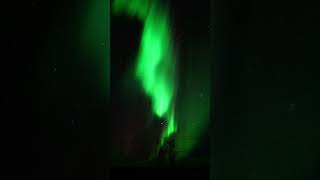 norrsken aurora auroraborealis abisko [upl. by Irafat]