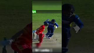 Quick Fastest Stumping in Cricket History 💥 cricket shorts [upl. by Leonanie563]