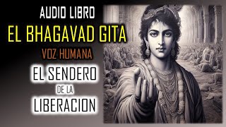 EL BHAGAVAD GITA  CAPITULO 2  EL SENDERO DEL DISCERNIMIENTO krishna hinduismo bhagavadgita [upl. by Lindner]