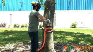 How to use a PortaWrap for Tree Care [upl. by Sul407]