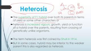 Heterosis and Theories of Heterosis [upl. by Nylsej]