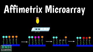 Affymetrix Microarray  Affymetrix Genechip  Affymetrix Genechip Oligonucleotide Microarray [upl. by Ydnil]