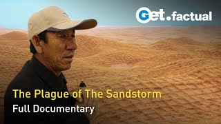 The Fight Against the Sandstorm  Full Documentary [upl. by Moreen275]