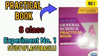 practical book 8 class Experiment No 1 study of lactobacilli subscribe [upl. by Appolonia665]