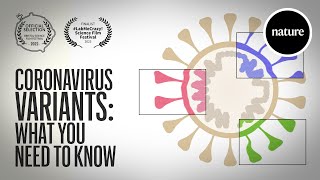 Coronavirus variants What you need to know [upl. by Padraig868]