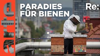 Im Land der Bienen  ARTE Re [upl. by Yerffe247]