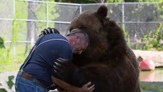 Animals Reunited With Their Owners After Years [upl. by Lorien]