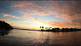 The MOST peaceful fishing spot I’ve EVER fished  Matlacha FL  DampD Bait and Tackle [upl. by Gnues]